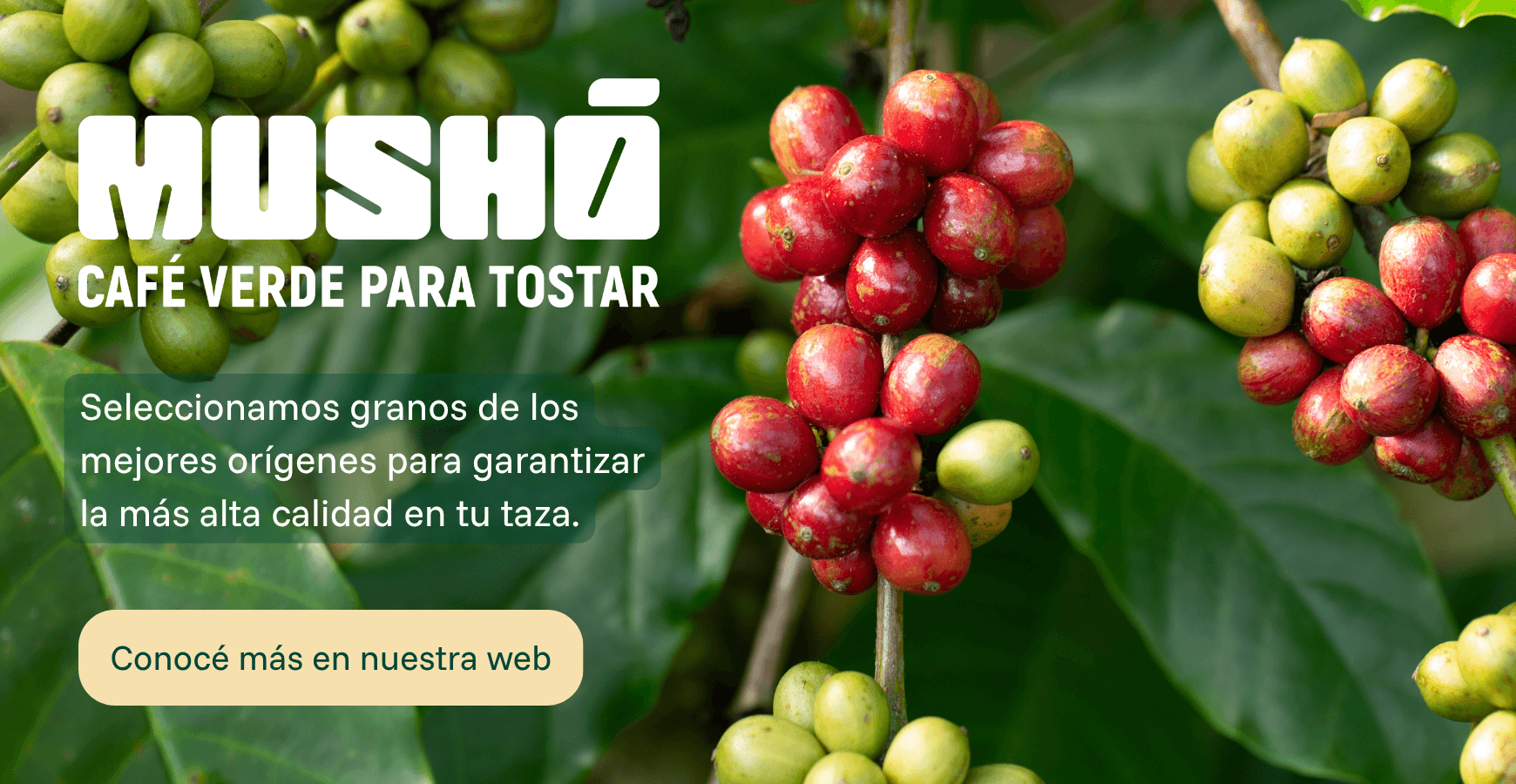 Mushó Cafe Verde